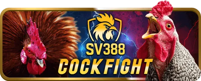 Hướng dẫn chơi 888 slots cho người mới bắt đầu